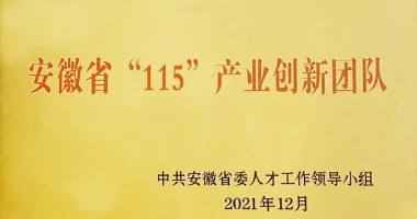 芜湖市市委组织部为利来老牌国际官网app,利来老牌国际最老牌的网站,来利国际w66官方网站光电安徽省“115”产业创新团队授牌